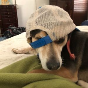 Meet your Posher, Cynthia